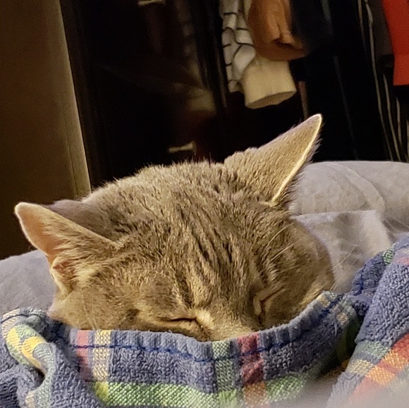 Meet your Posher, Rebecca - Picture 3 of 4